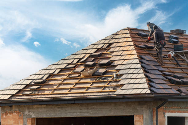 Best Roof Moss and Algae Removal  in Bevil Oaks, TX