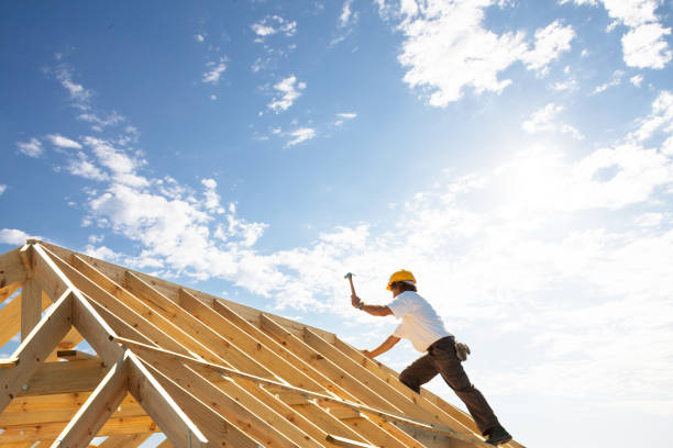 Best Roof Maintenance and Cleaning  in Bevil Oaks, TX